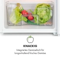 Spitzbergen Uni Kühlschrank 91 Liter 10-Liter-Gefrierfach 2 Böden 16 Spitzbergen Uni Kühlschrank 91 Liter 10-Liter-Gefrierfach 2 Böden -Klarstein 10035192 de 0006 logo