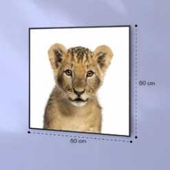 Wonderwall Air Art Smart Infrarotheizung Löwe 60x60cm 350W 16 Wonderwall Air Art Smart Infrarotheizung Löwe 60x60cm 350W -Klarstein 10037833 yy 0007 logo